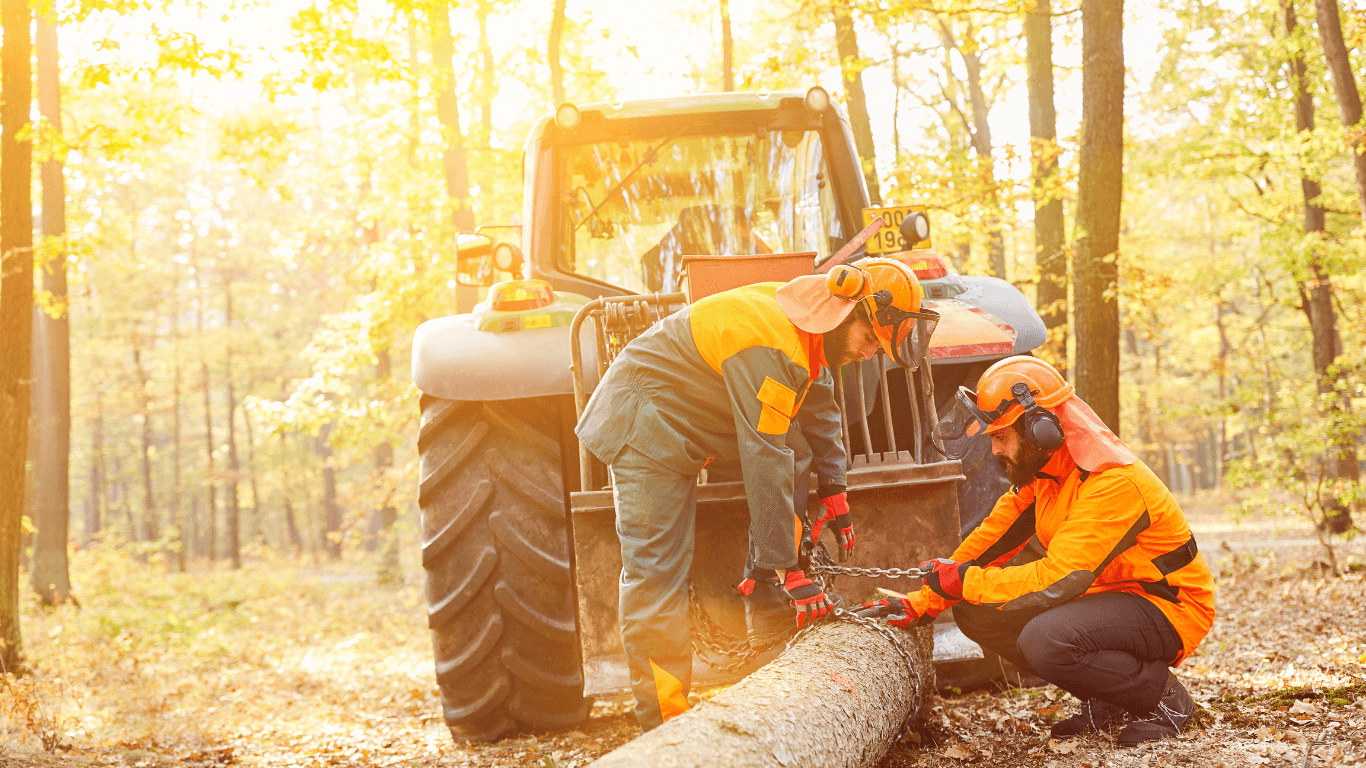 Jakie opony wybrać do ciągnika przy pracy w lesie?