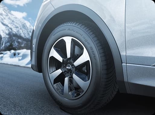 BFGoodrich Advantage SUV All Season