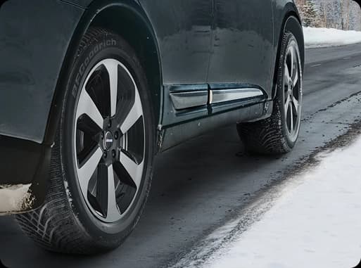 BFGoodrich G-FORCE WINTER2 SUV  