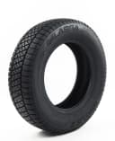 Lassa WINTUS 2