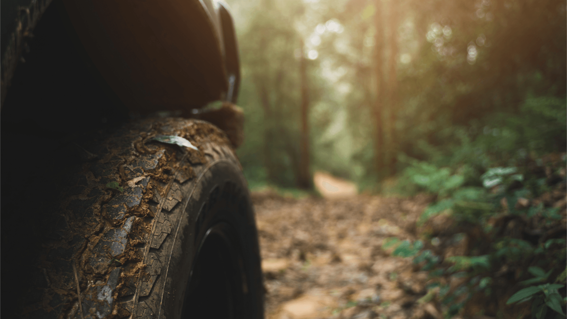 Opona terenowa 4x4 na błotnistej leśnej drodze – ogumienie off-road o wysokiej przyczepności w trudnym terenie