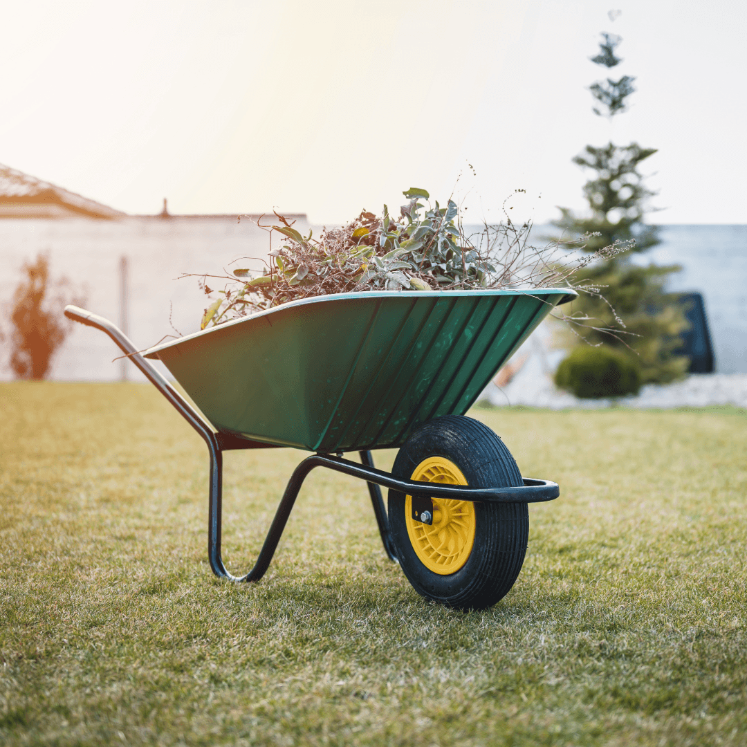 Zielona taczka ogrodowa pełna roślin na trawniku – pneumatyczne koło do taczki z czarną oponą.