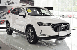 SUV, 5d