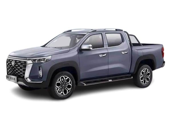 Pickup Double Cab