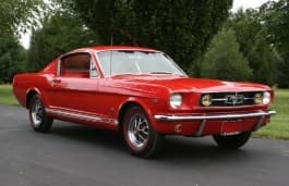 Fastback, 2d