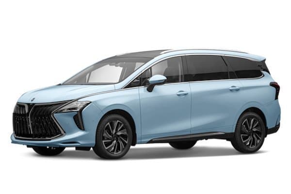 MPV