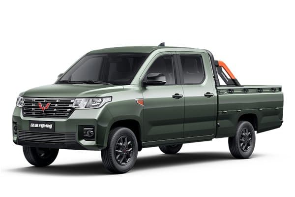 Pickup Truck