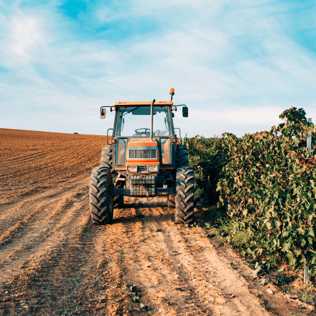 opony rolnicze farmking