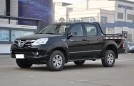 Pickup Double Cab