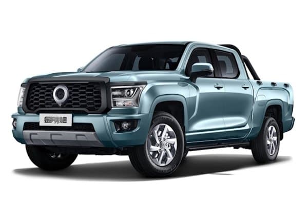 Pickup Double Cab