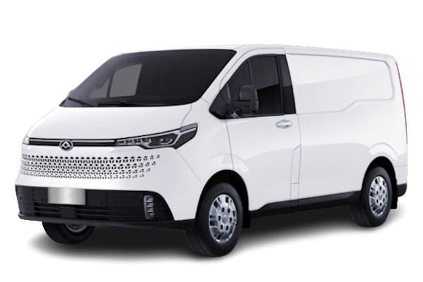 Mini Cargo Van
