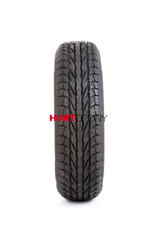 Apollo 195/55R16 ALNAC 4G WINTER 87H