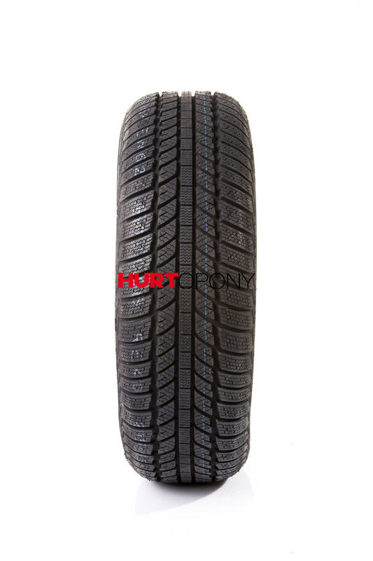 Evergreen 195/65R15 EW62 91T DOT2011