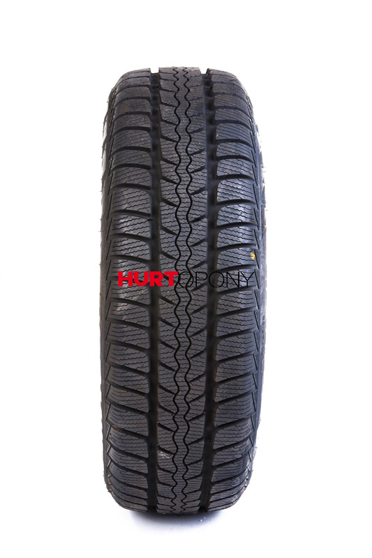 Formula 175/70R13 FORMULA WINTER 82T DOT2012