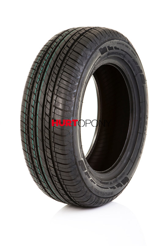 Fortune 205/55R16 FSR6 91V