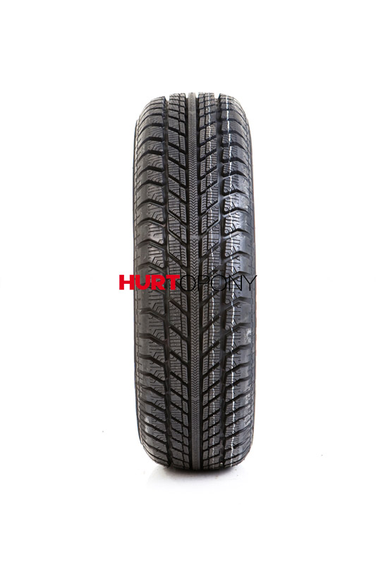 Fortune 205/65R15 FSR9 94H