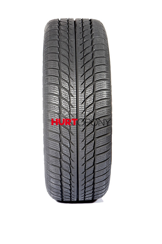 Goodride 205/55R16 SW608 M+S 91H