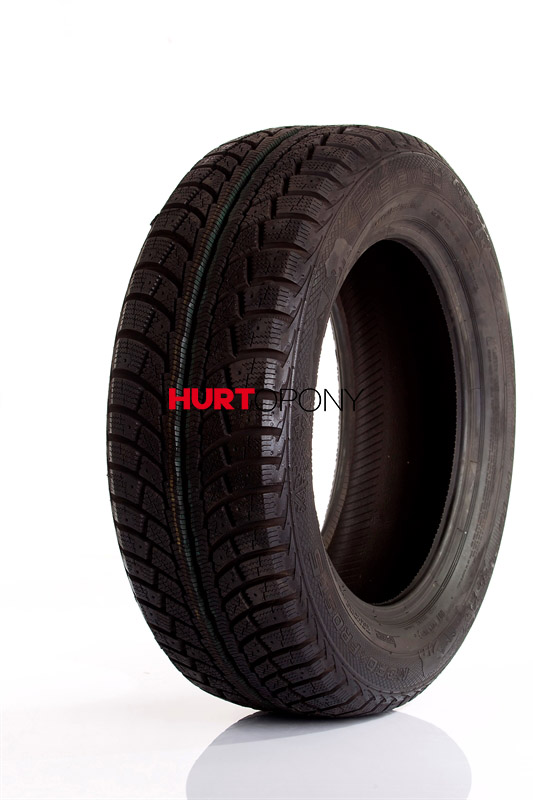 Gislaved 175/70R13 EUROFROST 5 82T DOT2013
