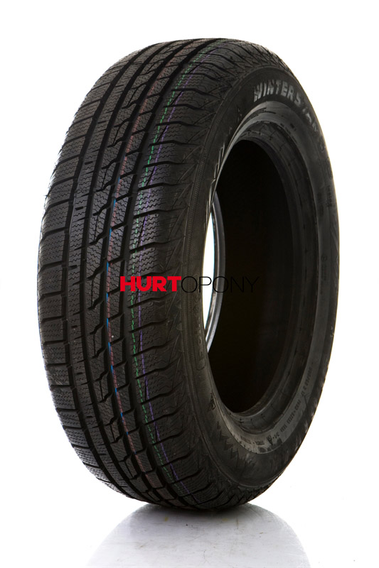 Point s 175/70R13 WINTERSTAR 3 82T
