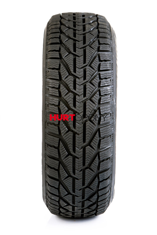 Riken 195/55R16 SNOW 87H