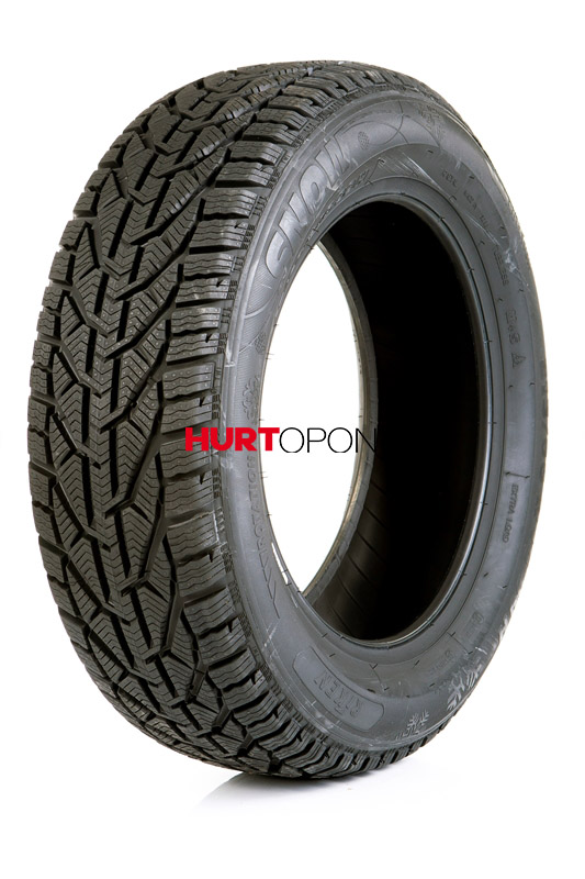 Riken 195/55R16 SNOW 87H