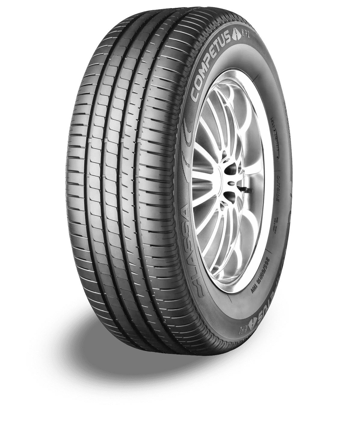 Lassa Competus h/p 2